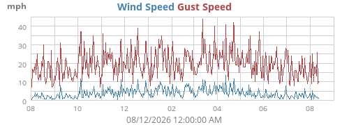 yearwind